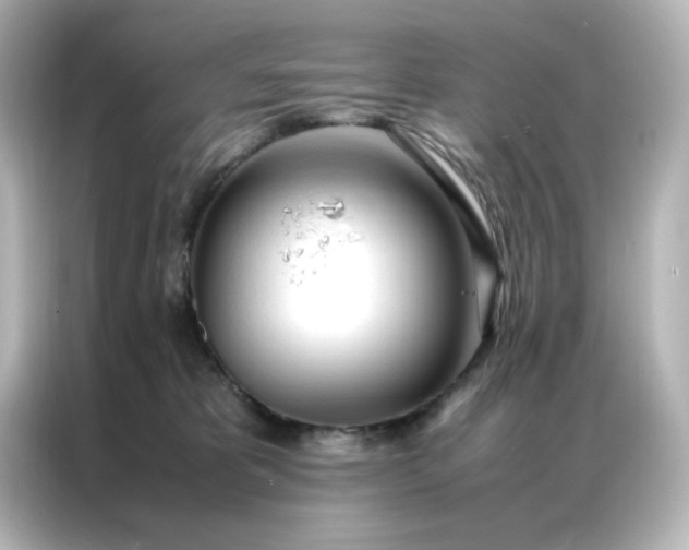 X0000086990325200704301343