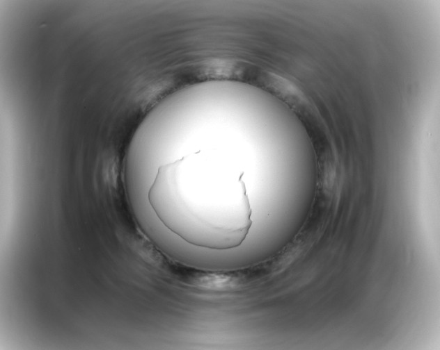 X0000086990326200704301343