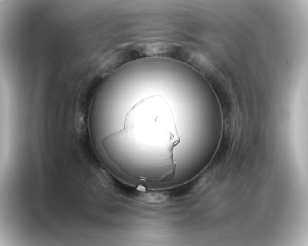 X0000086990327200704301343