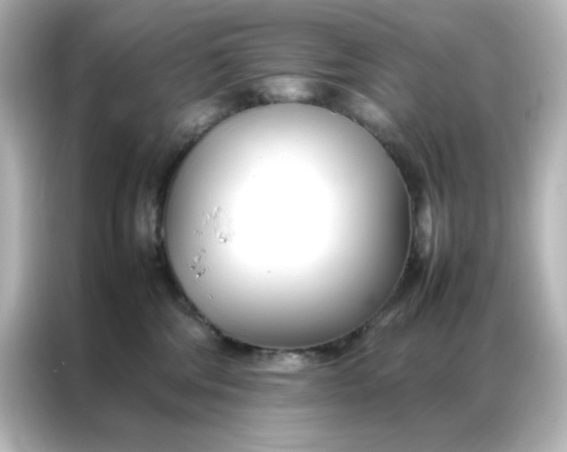 X0000086990330200704301342