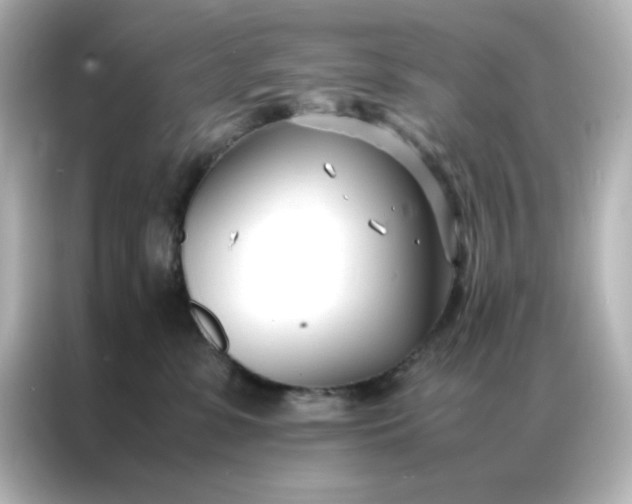 X0000086990331200704301342