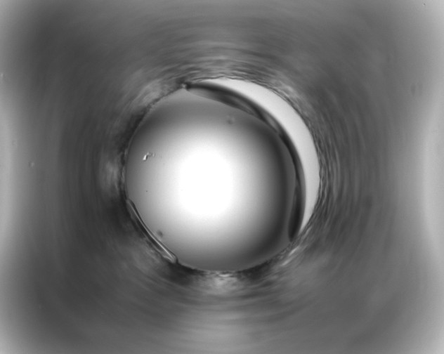 X0000086990333200704301342