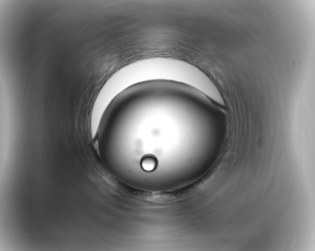 X0000086990336200704301342