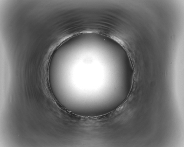 X0000086990337200704301342