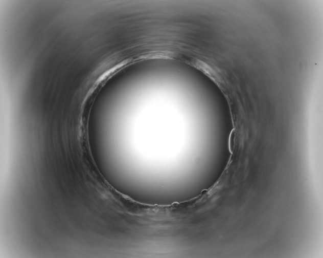 X0000086990338200704301342