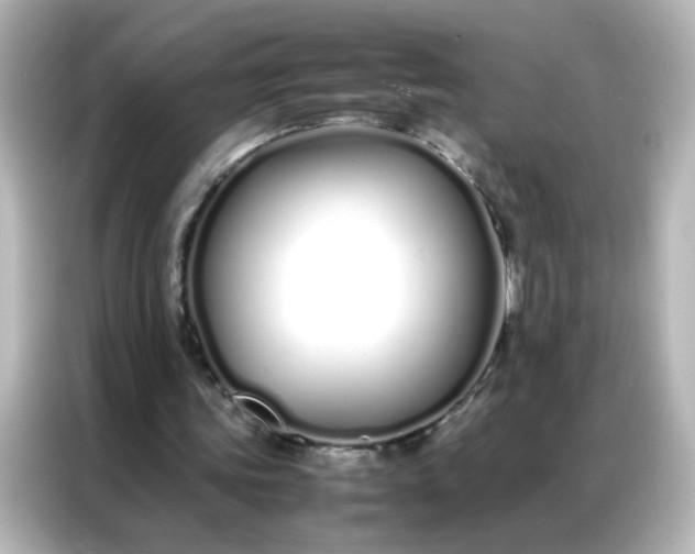 X0000086990339200704301342