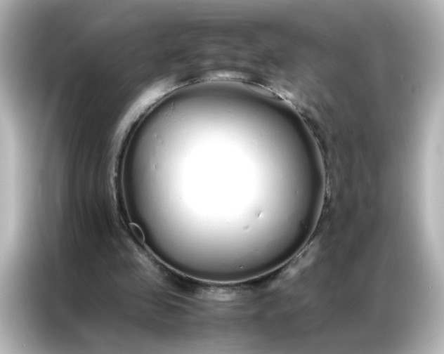 X0000086990341200704301342