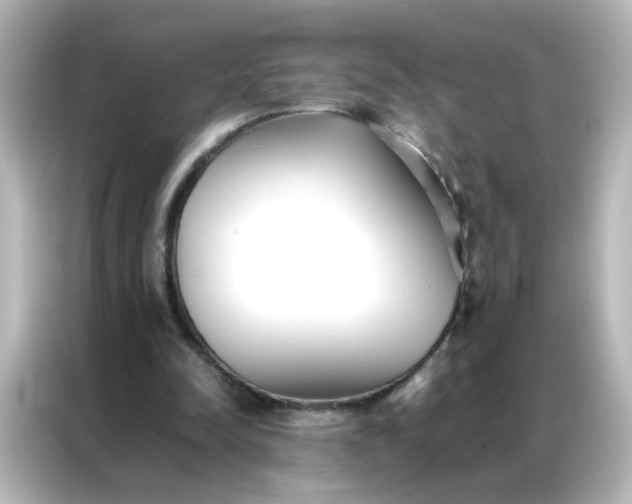 X0000086990342200704301342