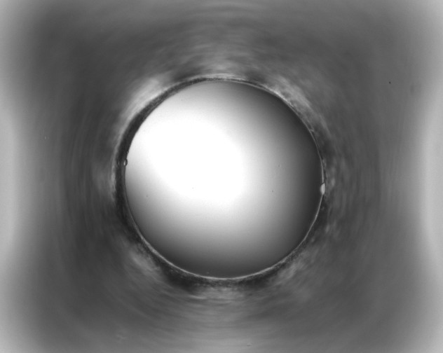 X0000086990344200704301342