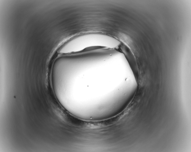 X0000086990346200704301342