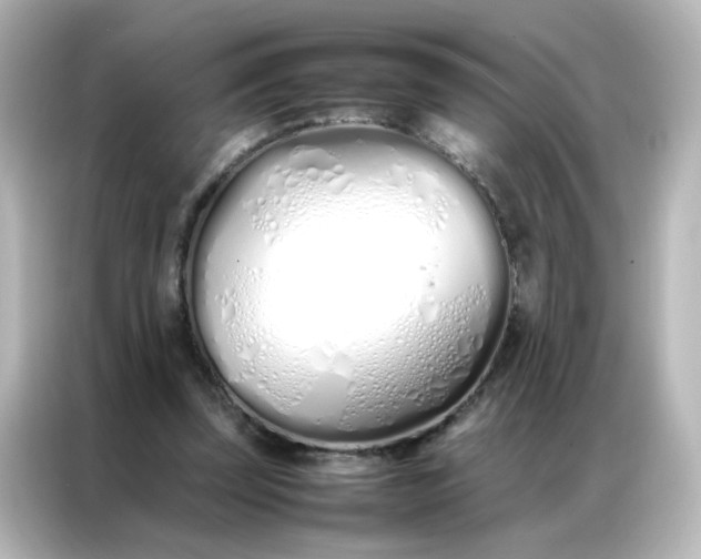 X0000086990347200704301342