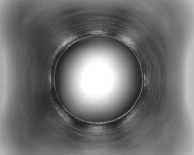 X0000086990349200704301342