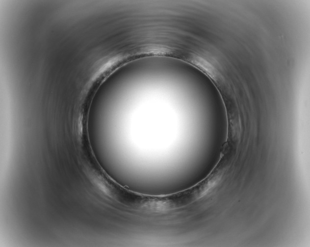 X0000086990350200704301342