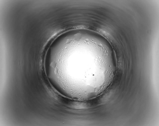 X0000086990351200704301342