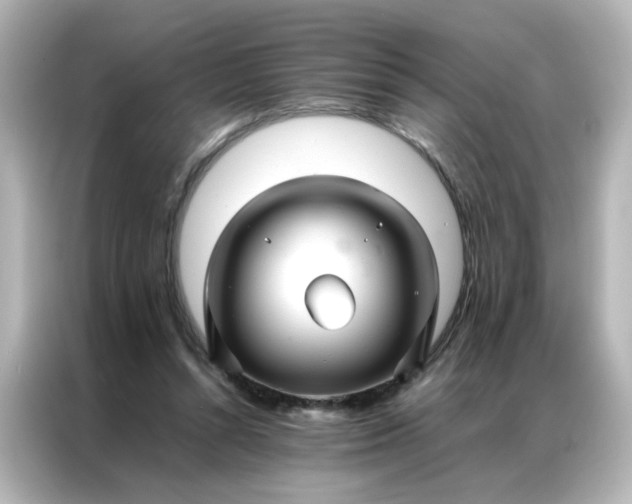 X0000086990352200704301342