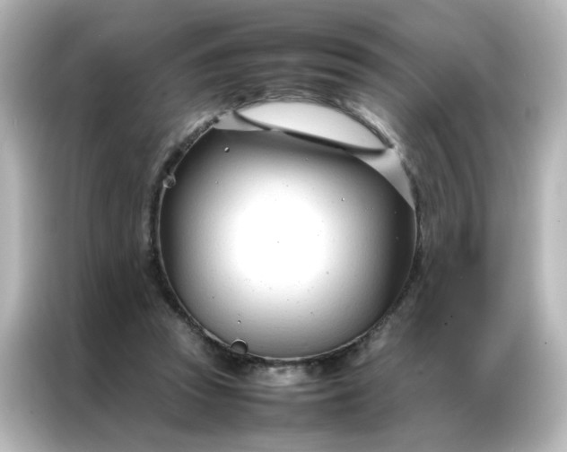 X0000086990353200704301342