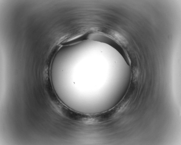 X0000086990356200704301342