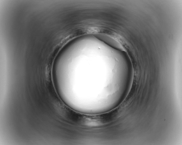 X0000086990359200704301342