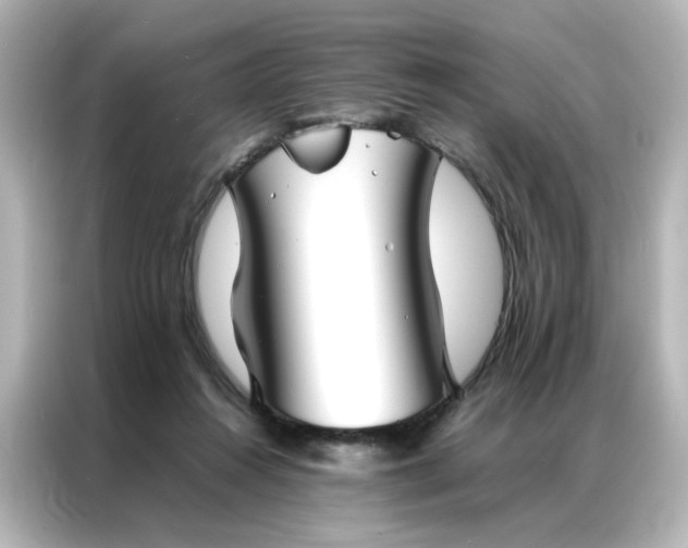 X0000086990360200704301342