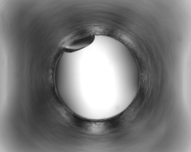 X0000086990361200704301342