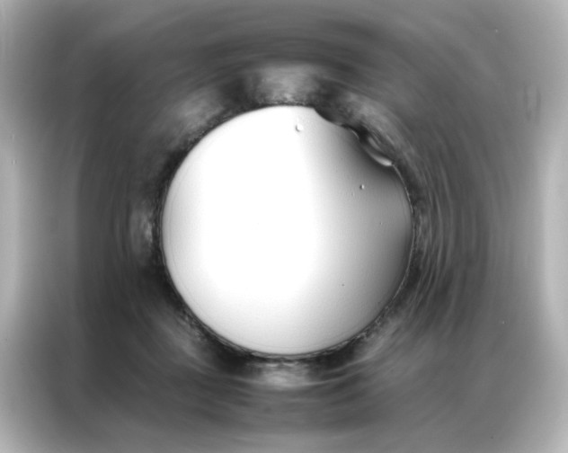 X0000086990363200704301342