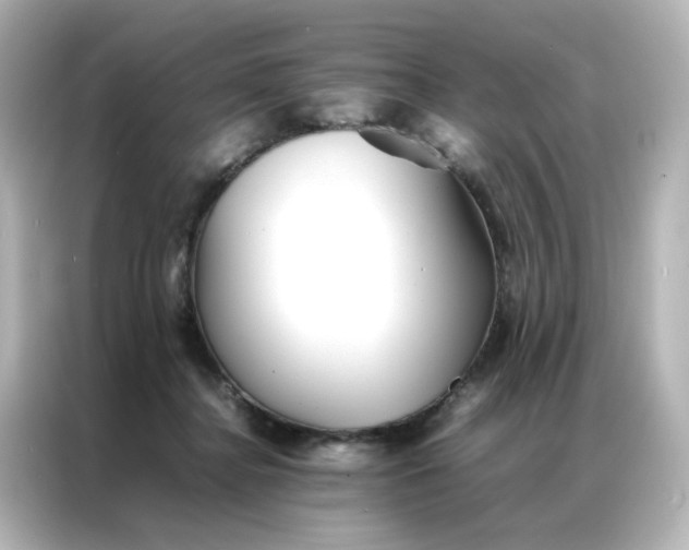 X0000086990364200704301342