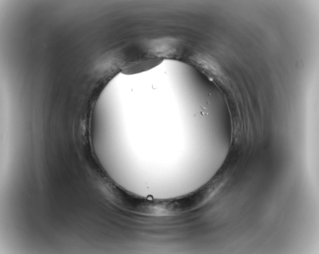 X0000086990365200704301342