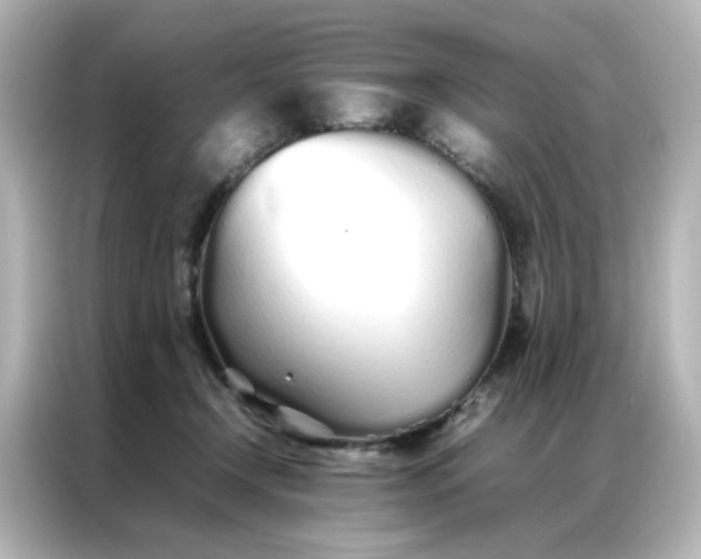 X0000086990366200704301342