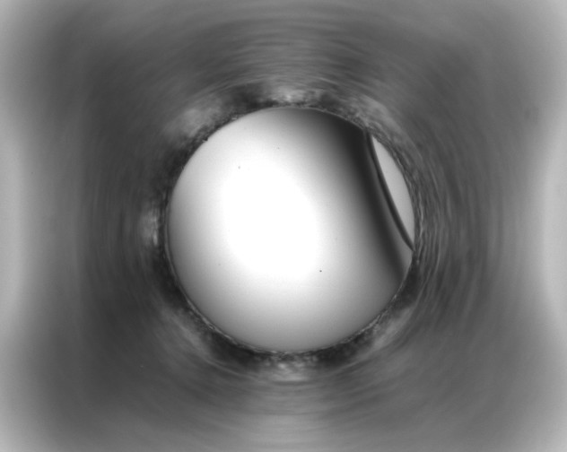 X0000086990368200704301342