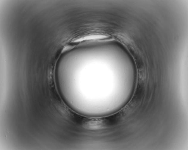 X0000086990369200704301342