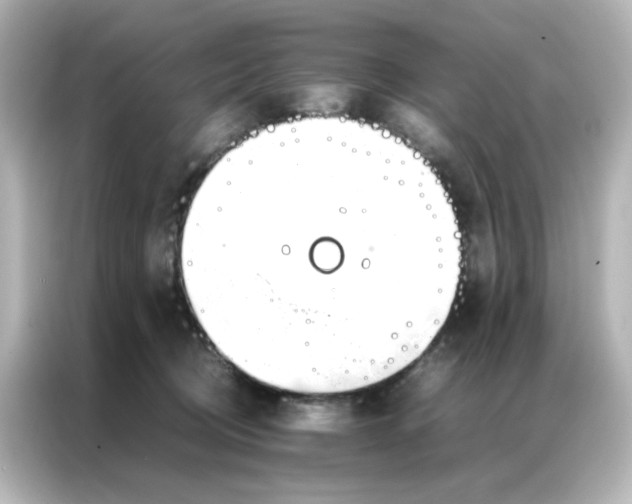 X0000086990370200704301342