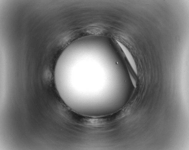 X0000086990371200704301342