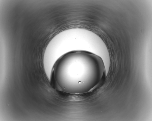 X0000086990372200704301342