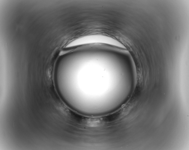 X0000086990373200704301342