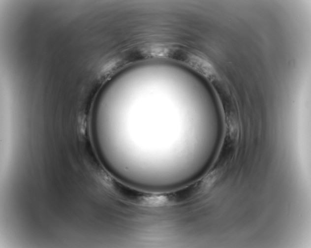 X0000086990374200704301342