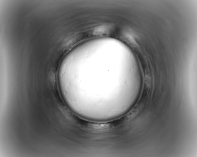 X0000086990375200704301342