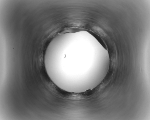 X0000086990376200704301342