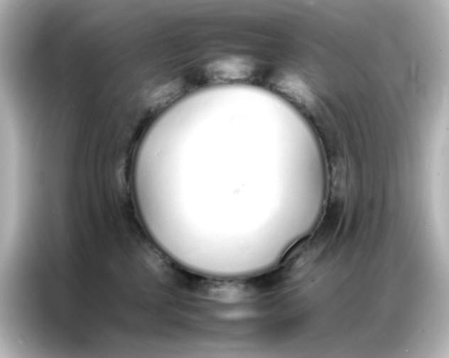 X0000086990377200704301342