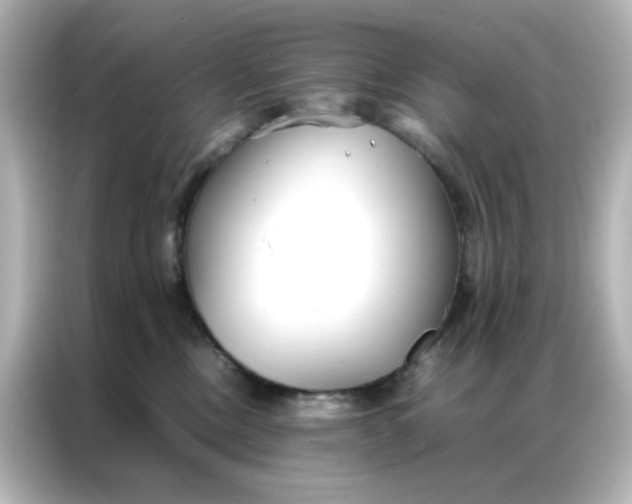 X0000086990378200704301342