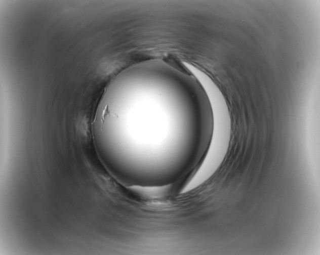 X0000086990380200704301342