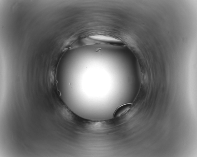 X0000086990382200704301342