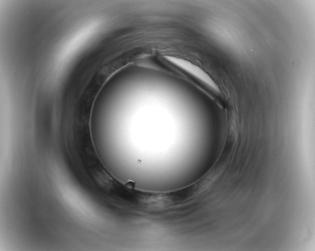 X0000086990383200704301342