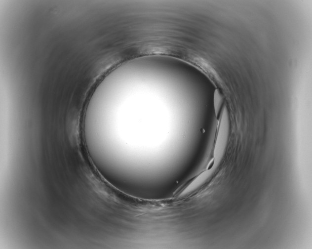 X0000086990386200704301342