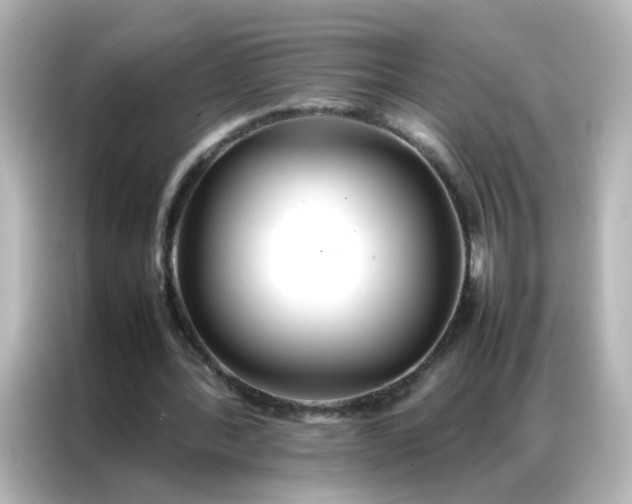 X0000086990388200704301342