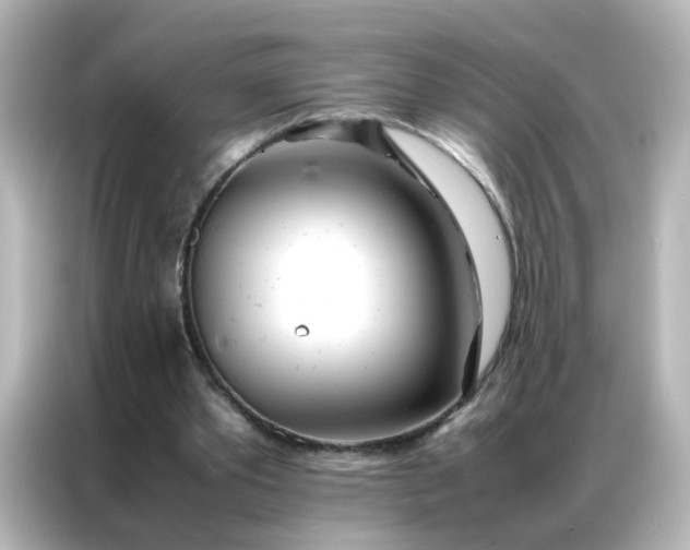 X0000086990389200704301342