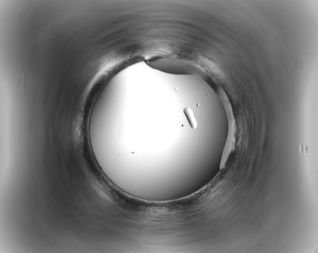 X0000086990392200704301342