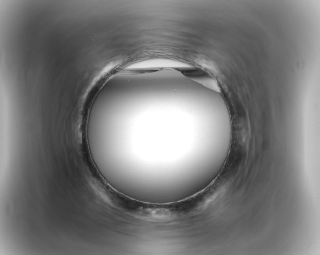 X0000086990395200704301342