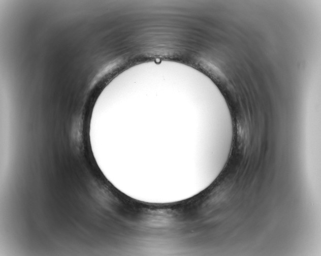 X0000086990396200704301342