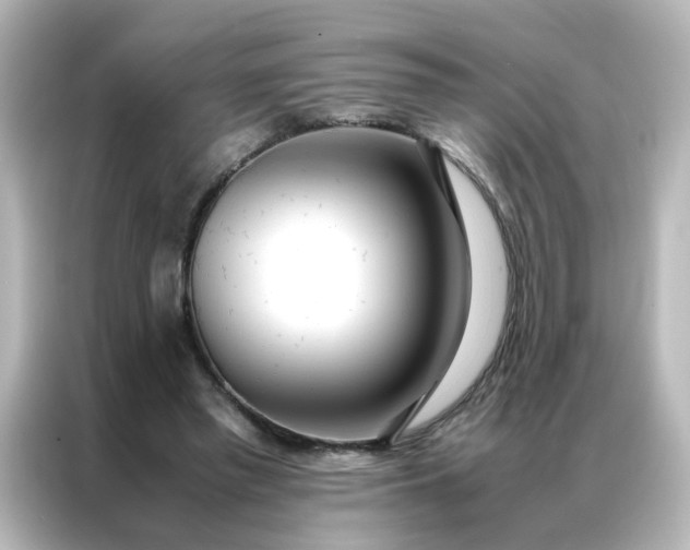 X0000086990397200704301342