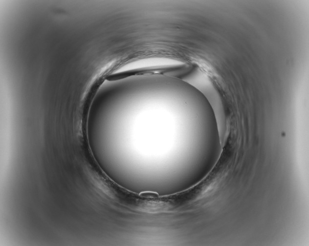 X0000086990399200704301342